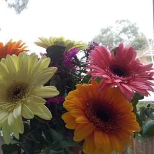 Meet your Posher, Jiyoon